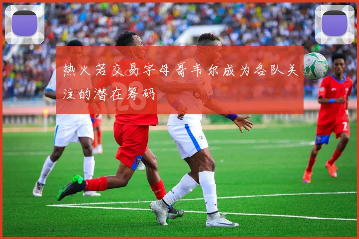 热火若交易字母哥韦尔成为各队关注的潜在筹码