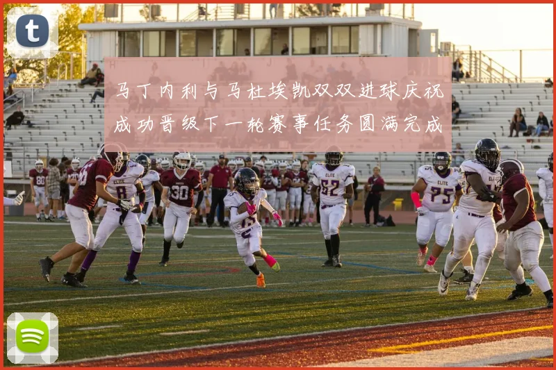 马丁内利与马杜埃凯双双进球庆祝成功晋级下一轮赛事任务圆满完成