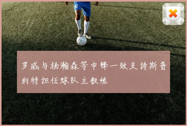 罗威与杨瀚森等中锋一致支持斯普利特担任球队主教练