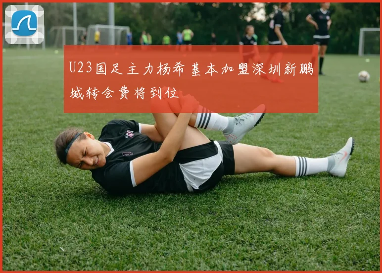 U23国足主力杨希基本加盟深圳新鹏城转会费将到位