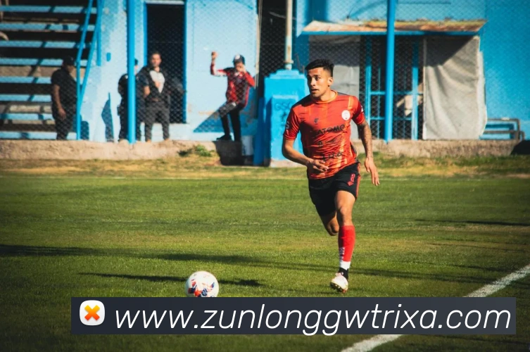 尊龙官网发展历程